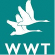 What's On @ Slimbridge Wetland Centre