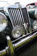 Magnificent Motors