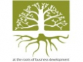 Ailnoth Bristol Business Consultants