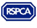 RSPCA Blackpool & North Lancashire