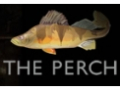 The Perch