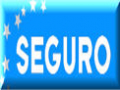 Seguro