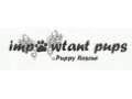 Impawtant Pups Puppy Rescue