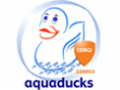 Aquaducks Plumbing and Heating - Kingston