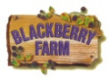 Blackberry Farm