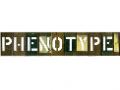 Phenotype Limited