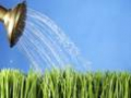 Vieira Gardening Services