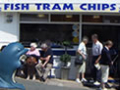 Fish Tram Chips