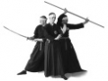 The Essex Martial Arts Academy
