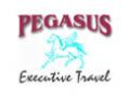 Pegasus Executive Travel