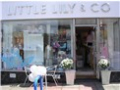 Little Lily & Co