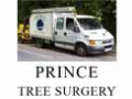 Prince Tree Surgery