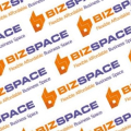 Biz Space