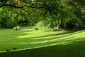 Mark Jenkins Gardening Services