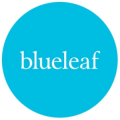 Blueleaf
