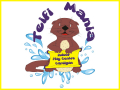 Teifimania Indoor Play Centre Cardigan