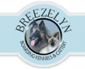 Breezelyn Cattery & Cat Grooming Parlour