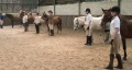 Easter Hall Park Riding & Carriage Driving Centre