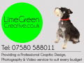 Limegreen Creative - Graphic Design, Photography & Video