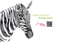 Jungle HR Ltd