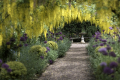 The Dorothy Clive Garden
