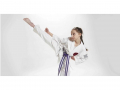 Red Tiger Karate Club