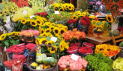 Tutbury Flower Club - Demonstration