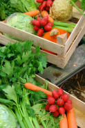 Tonyrefail Farmers Market