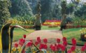 SUNDAY CONCERTS IN CANDIE GARDENS