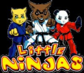 Little Ninja's Pre-School Programme