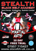 Stealth Adults Martial Arts