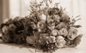 Rugby Floral Society Monthly Meetings in Rugby