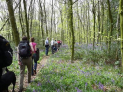 Abingdon Walk