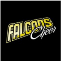 Falcons Cheerleading - Seniors Training