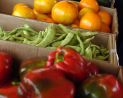Hatfield Heath Farmers Market