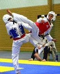 Taekwondo Class