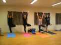Iyengar Yoga with Fiona Hawkins