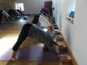 Iyengar Yoga with Fiona Hawkins