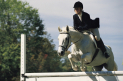 BUCKMINSTER & SEWSTERN SHOW