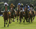 STV Appeal Carnival Party at Perth Racecourse