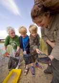 Pond Dipping and Design - outdoor kids learning and crafts