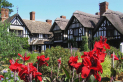 Residential Gardening Course with Parick Swan MIHORT