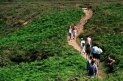 2013 Itex around the island charity walk.