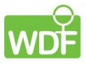 WDF - FEMININE LEADERSHIP