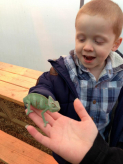 Greentrunks Gardencentre and Bugtopia