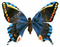 Polish & Pin - Artist Open House in Hove