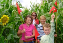 Wistow Maze