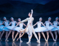 Swan Lake