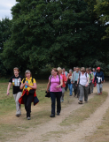 Walk: Lord's Bushes & Knighton Wood