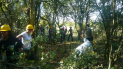 Volunteer task: The Lake, Lower Forest